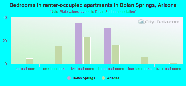 Bedrooms in renter-occupied apartments in Dolan Springs, Arizona