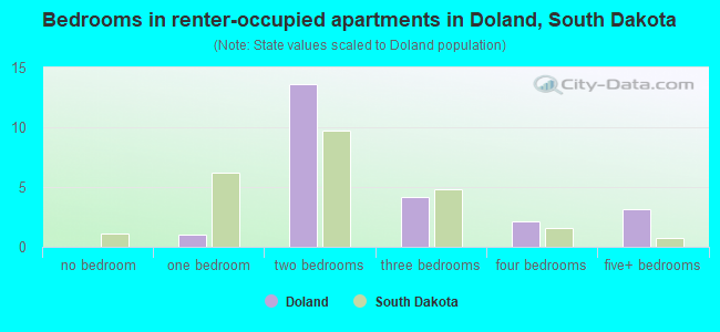 Bedrooms in renter-occupied apartments in Doland, South Dakota