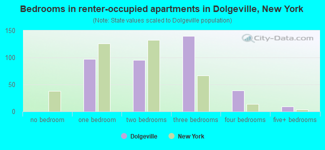 Bedrooms in renter-occupied apartments in Dolgeville, New York