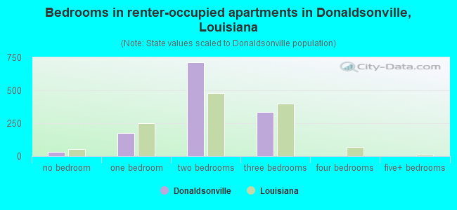 Bedrooms in renter-occupied apartments in Donaldsonville, Louisiana