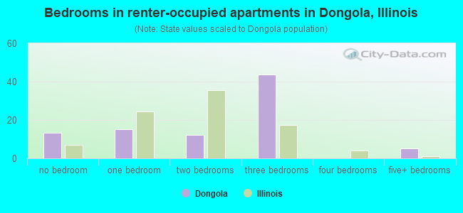 Bedrooms in renter-occupied apartments in Dongola, Illinois