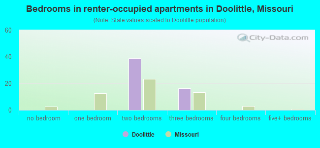 Bedrooms in renter-occupied apartments in Doolittle, Missouri