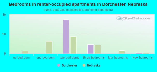 Bedrooms in renter-occupied apartments in Dorchester, Nebraska