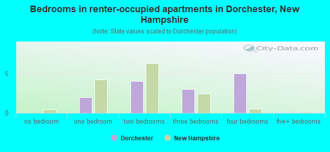 Bedrooms in renter-occupied apartments in Dorchester, New Hampshire