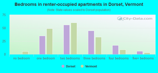 Bedrooms in renter-occupied apartments in Dorset, Vermont