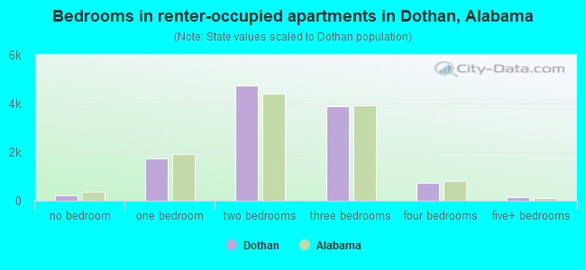 Bedrooms in renter-occupied apartments in Dothan, Alabama