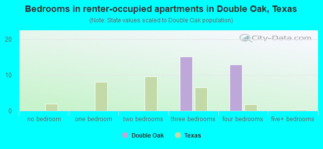 Bedrooms in renter-occupied apartments in Double Oak, Texas