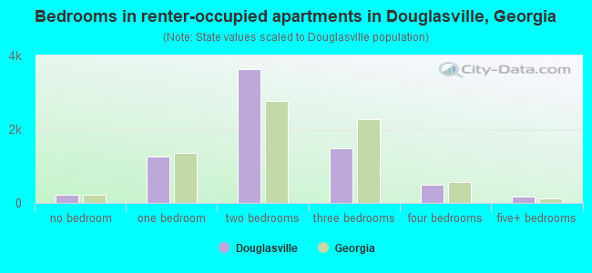 Bedrooms in renter-occupied apartments in Douglasville, Georgia