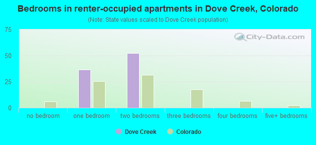 Bedrooms in renter-occupied apartments in Dove Creek, Colorado