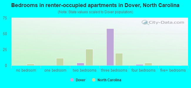 Bedrooms in renter-occupied apartments in Dover, North Carolina