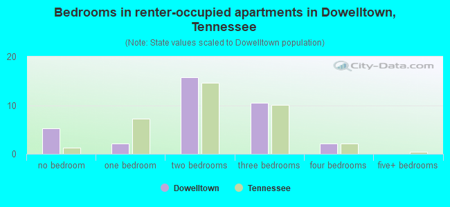 Bedrooms in renter-occupied apartments in Dowelltown, Tennessee