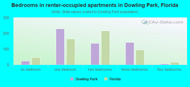 Bedrooms in renter-occupied apartments in Dowling Park, Florida
