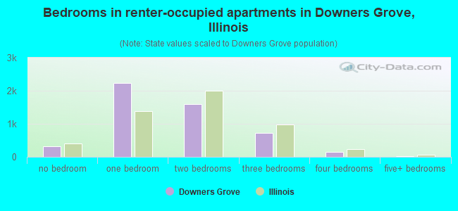 Bedrooms in renter-occupied apartments in Downers Grove, Illinois