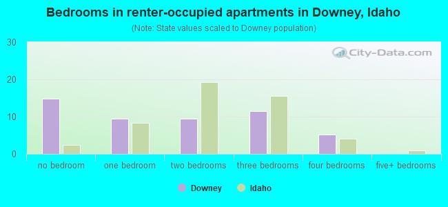 Bedrooms in renter-occupied apartments in Downey, Idaho