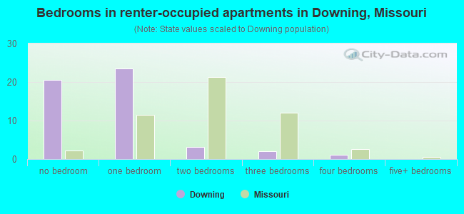 Bedrooms in renter-occupied apartments in Downing, Missouri