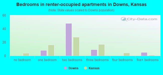 Bedrooms in renter-occupied apartments in Downs, Kansas