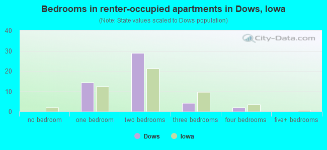 Bedrooms in renter-occupied apartments in Dows, Iowa