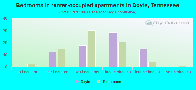 Bedrooms in renter-occupied apartments in Doyle, Tennessee