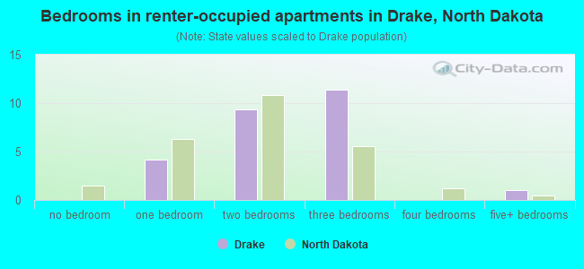 Bedrooms in renter-occupied apartments in Drake, North Dakota