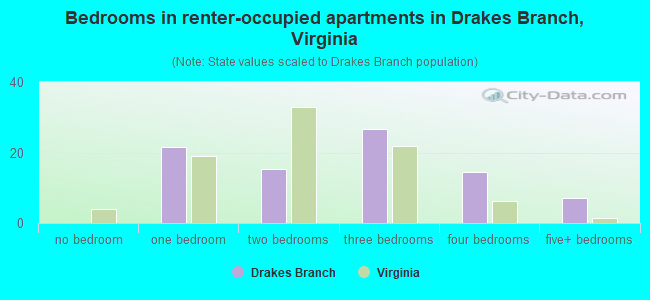 Bedrooms in renter-occupied apartments in Drakes Branch, Virginia