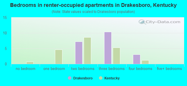 Bedrooms in renter-occupied apartments in Drakesboro, Kentucky