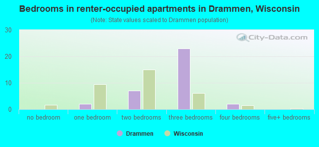 Bedrooms in renter-occupied apartments in Drammen, Wisconsin