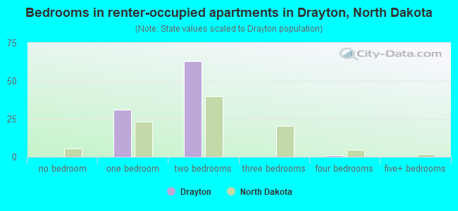 Bedrooms in renter-occupied apartments in Drayton, North Dakota