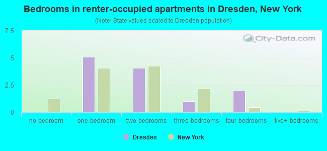 Bedrooms in renter-occupied apartments in Dresden, New York