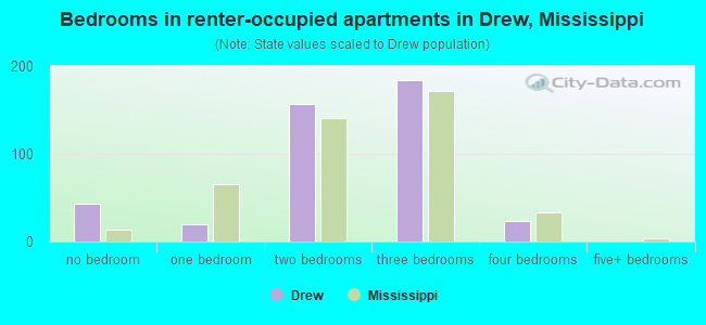 Bedrooms in renter-occupied apartments in Drew, Mississippi