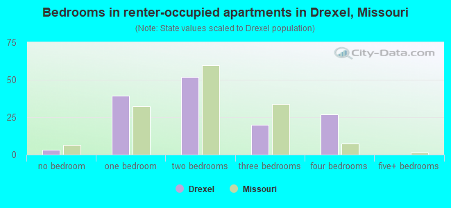 Bedrooms in renter-occupied apartments in Drexel, Missouri