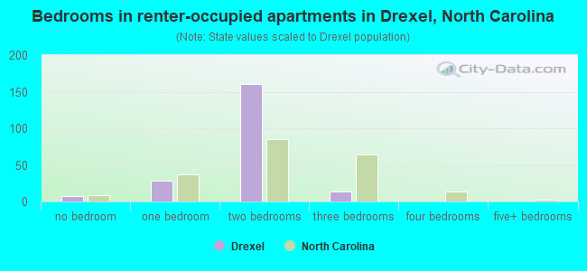 Bedrooms in renter-occupied apartments in Drexel, North Carolina