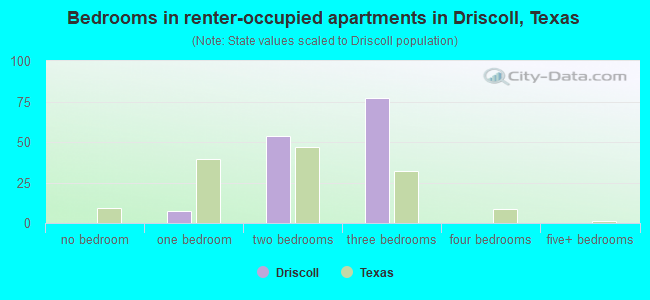 Bedrooms in renter-occupied apartments in Driscoll, Texas