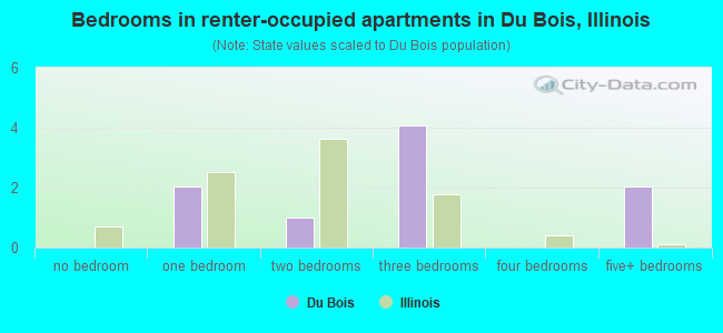 Bedrooms in renter-occupied apartments in Du Bois, Illinois