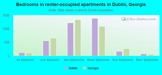 Bedrooms in renter-occupied apartments in Dublin, Georgia