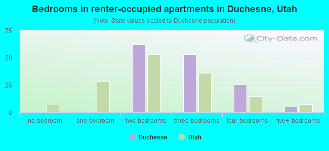 Bedrooms in renter-occupied apartments in Duchesne, Utah