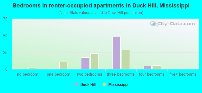 Bedrooms in renter-occupied apartments in Duck Hill, Mississippi