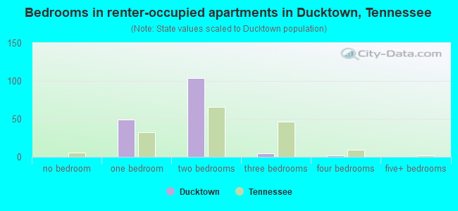 Bedrooms in renter-occupied apartments in Ducktown, Tennessee