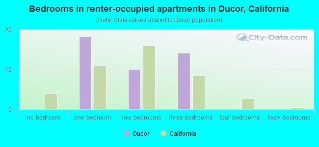 Bedrooms in renter-occupied apartments in Ducor, California