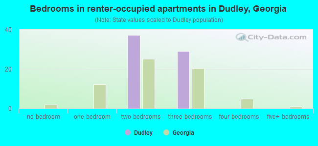 Bedrooms in renter-occupied apartments in Dudley, Georgia