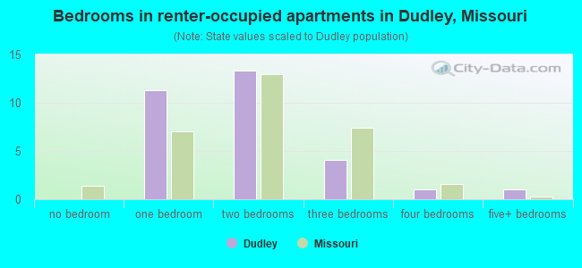 Bedrooms in renter-occupied apartments in Dudley, Missouri