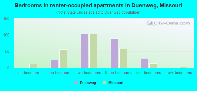 Bedrooms in renter-occupied apartments in Duenweg, Missouri