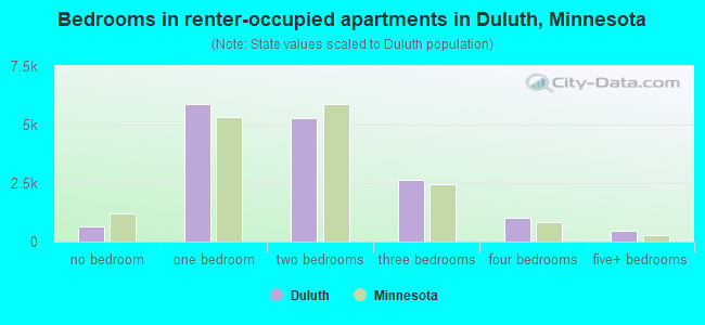 Bedrooms in renter-occupied apartments in Duluth, Minnesota