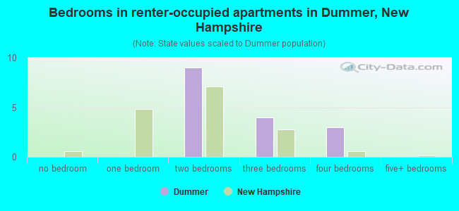 Bedrooms in renter-occupied apartments in Dummer, New Hampshire