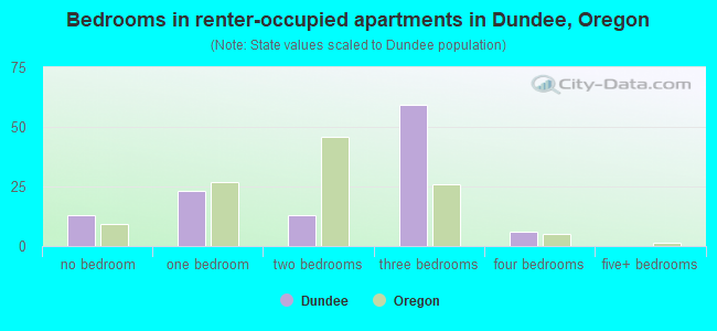 Bedrooms in renter-occupied apartments in Dundee, Oregon