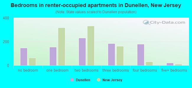 Bedrooms in renter-occupied apartments in Dunellen, New Jersey