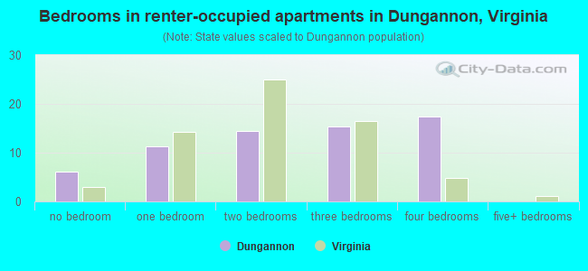 Bedrooms in renter-occupied apartments in Dungannon, Virginia