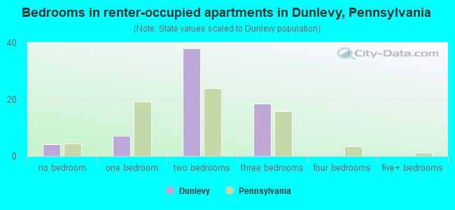 Bedrooms in renter-occupied apartments in Dunlevy, Pennsylvania