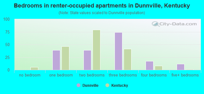 Bedrooms in renter-occupied apartments in Dunnville, Kentucky