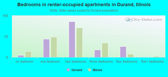 Bedrooms in renter-occupied apartments in Durand, Illinois