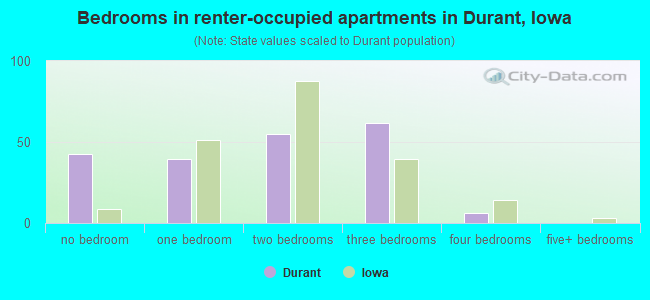 Bedrooms in renter-occupied apartments in Durant, Iowa